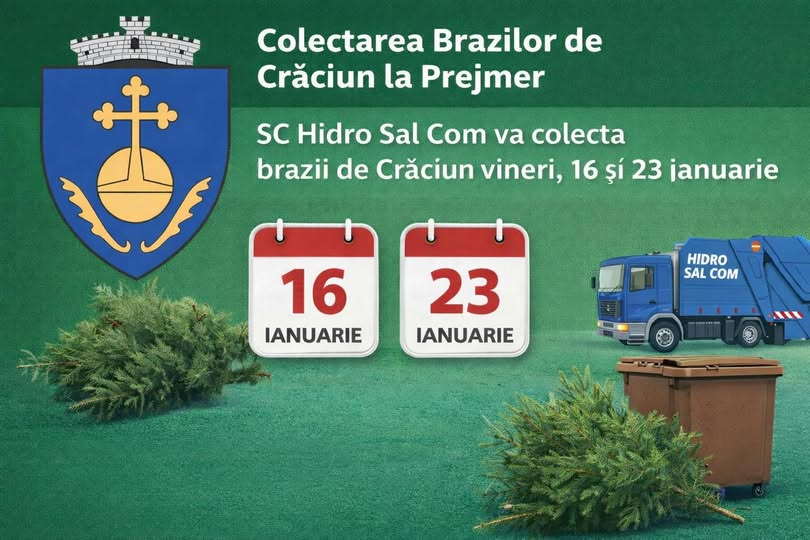 Colectarea brazilor de Crăciun în Comuna Prejmer